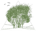 Tree Top Studio